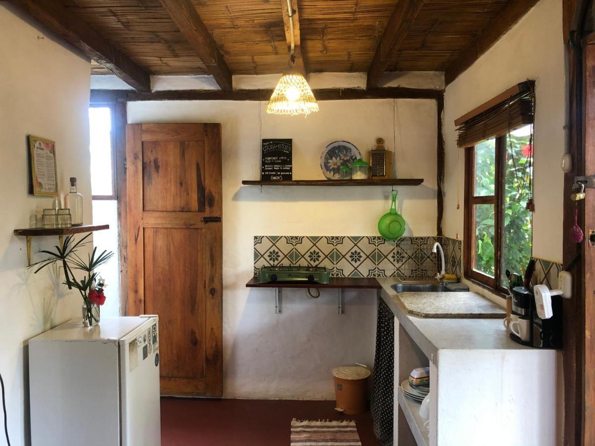 Hostal Los Orishas アヤンペ エクステリア 写真