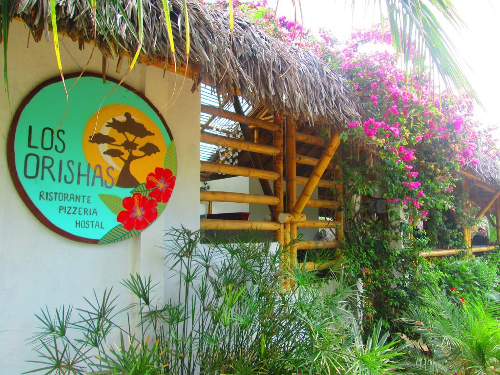 Hostal Los Orishas アヤンペ エクステリア 写真