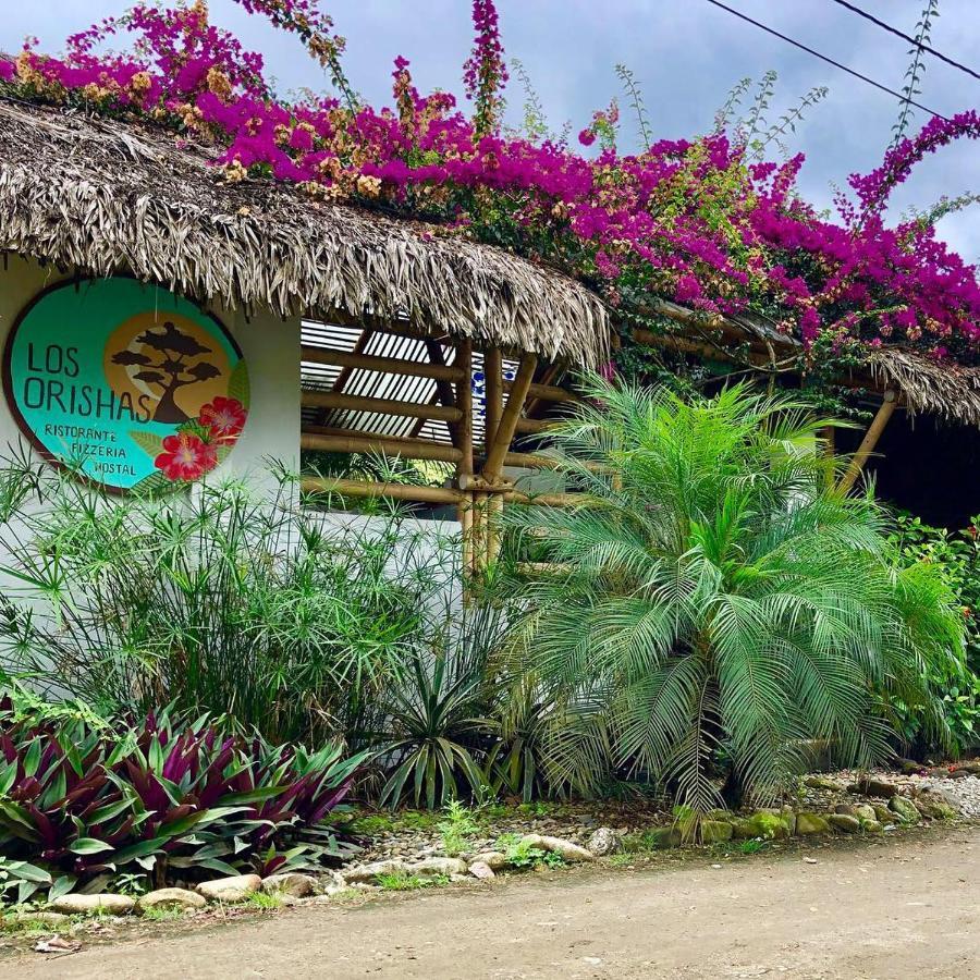 Hostal Los Orishas アヤンペ エクステリア 写真